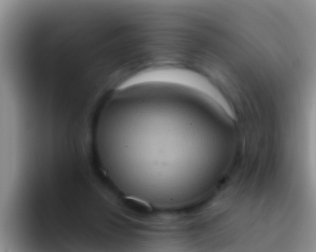 X0000092110260200709262204