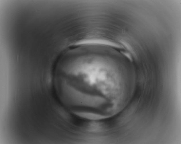 X0000092110261200709262204