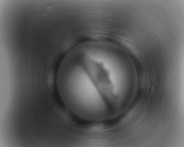 X0000092110263200709262204