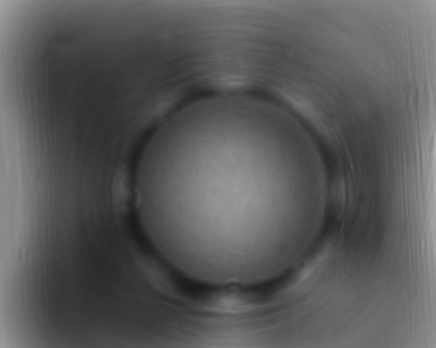 X0000092110264200709262204