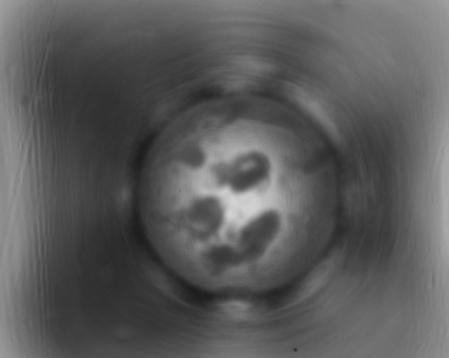 X0000092110265200709262204