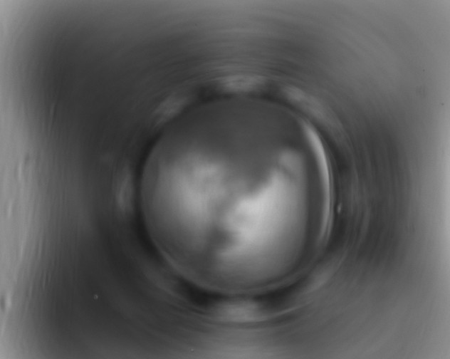 X0000092110266200709262204