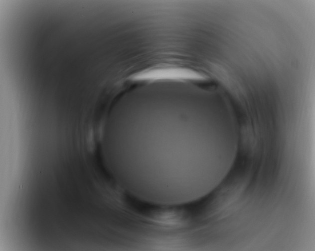 X0000092110267200709262204