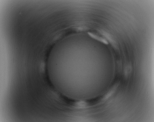 X0000092110269200709262204