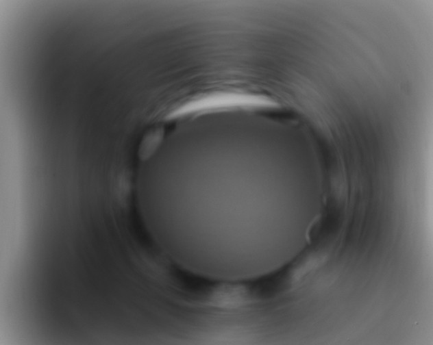 X0000092110271200709262204