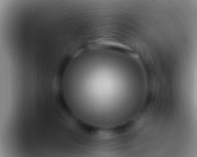 X0000092110272200709262204