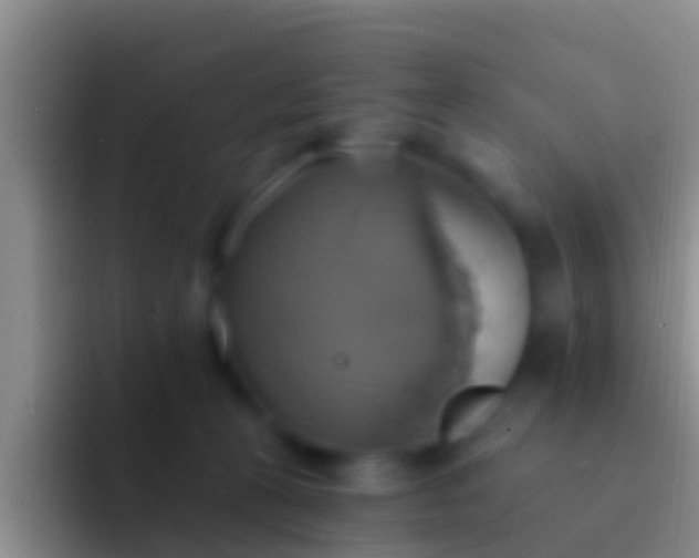 X0000092110273200709262204