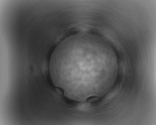 X0000092110274200709262204