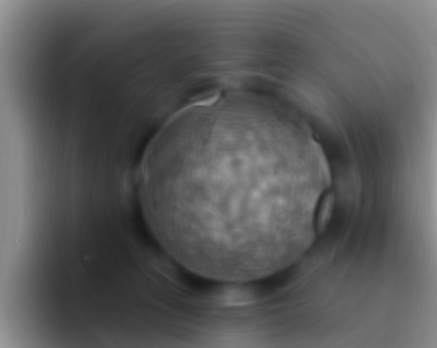 X0000092110275200709262204