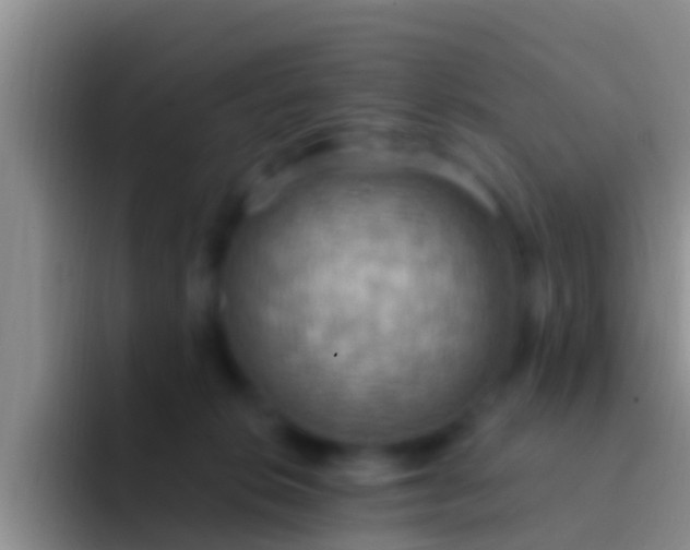 X0000092110276200709262204