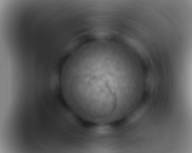 X0000092110278200709262204