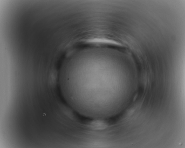 X0000092110280200709262204