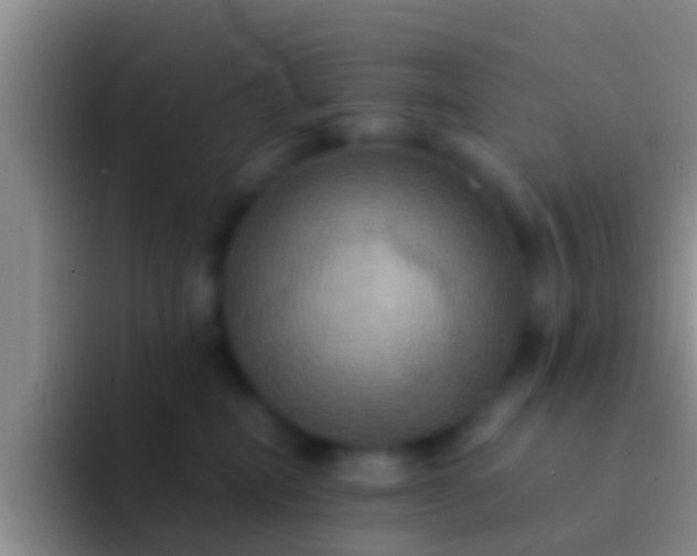 X0000092110282200709262204