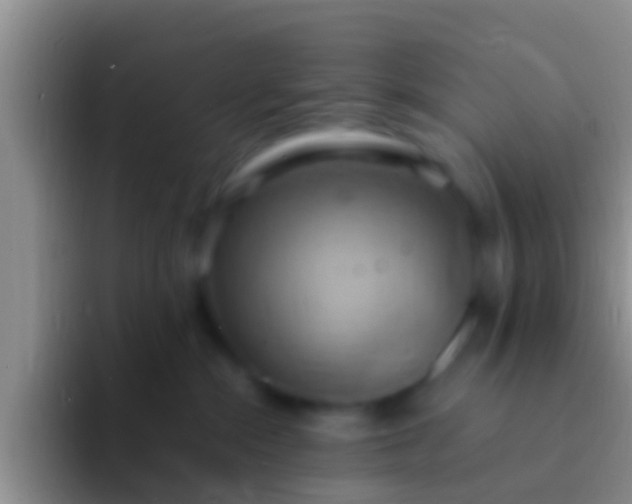 X0000092110284200709262204