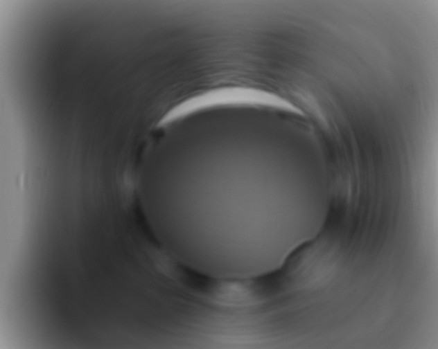 X0000092110285200709262204