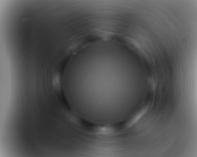 X0000092110286200709262204