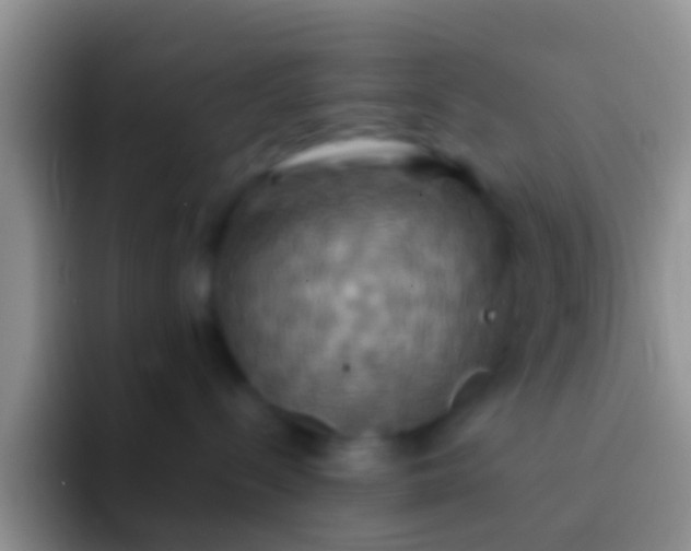 X0000092110288200709262204