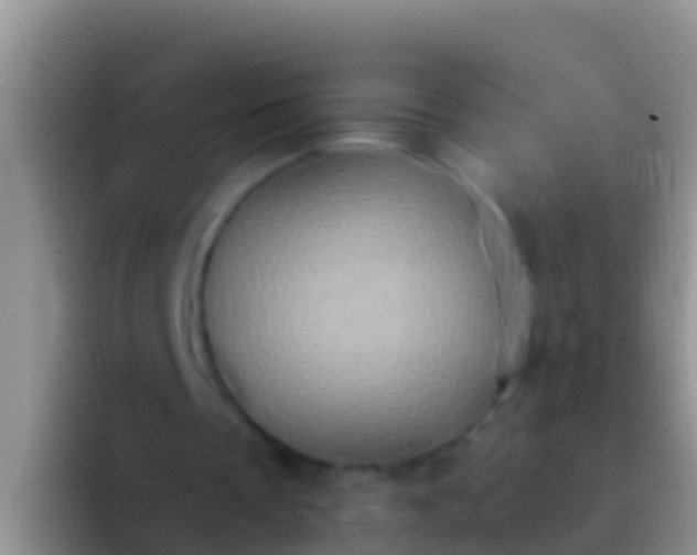 X0000092110289200709262204