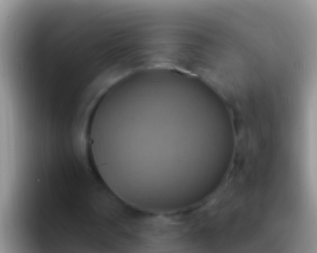 X0000092110290200709262204