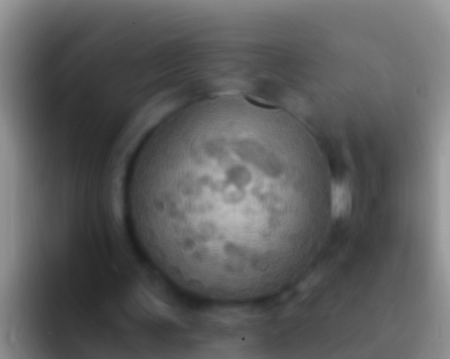 X0000092110291200709262204