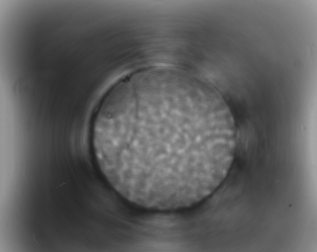 X0000092110292200709262204