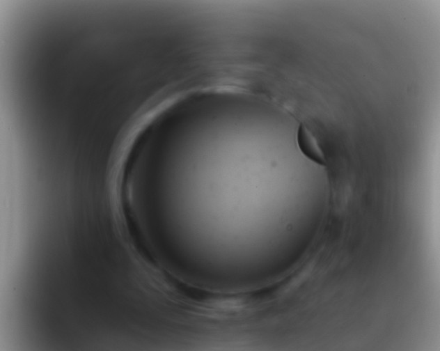 X0000092110295200709262204