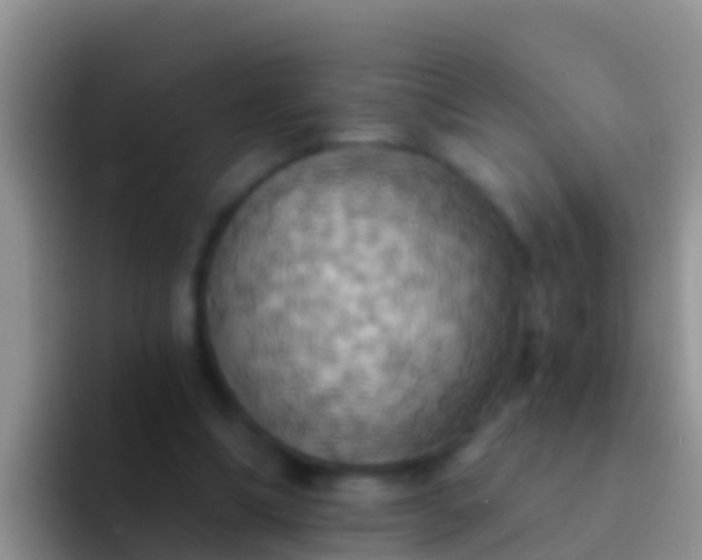 X0000092110298200709262204