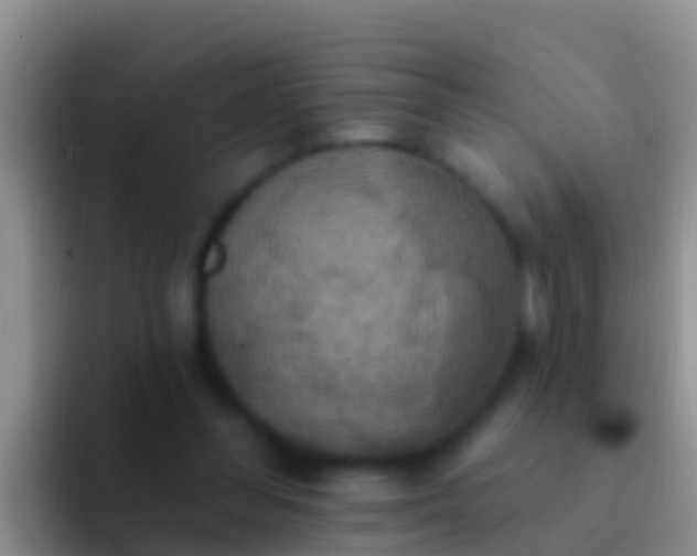 X0000092110300200709262204