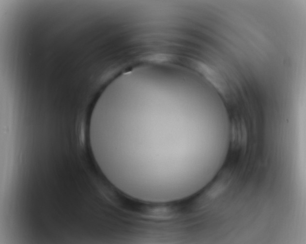 X0000092110301200709262204