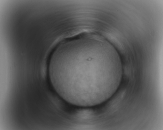 X0000092110304200709262204