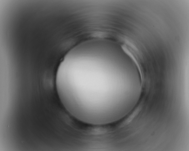 X0000092110305200709262204