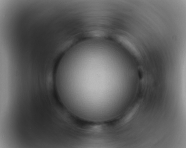 X0000092110306200709262204