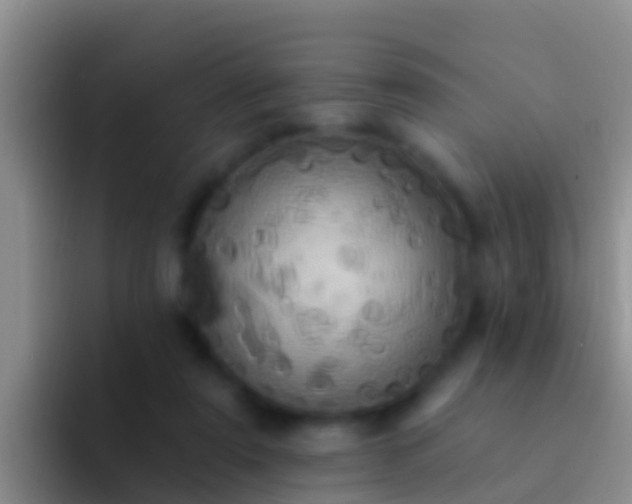 X0000092110307200709262204