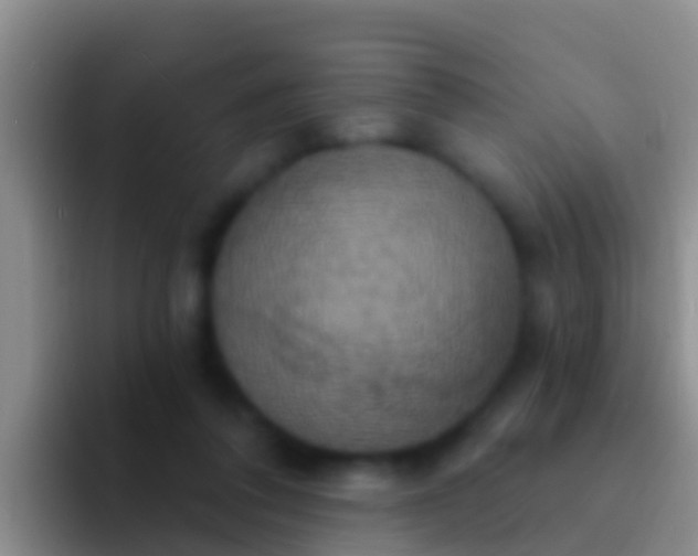 X0000092110308200709262204