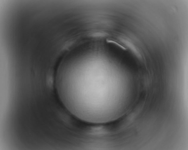 X0000092110309200709262204