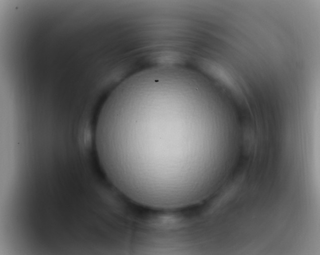 X0000092110310200709262204