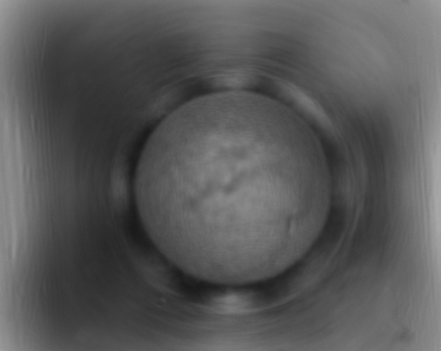 X0000092110312200709262204