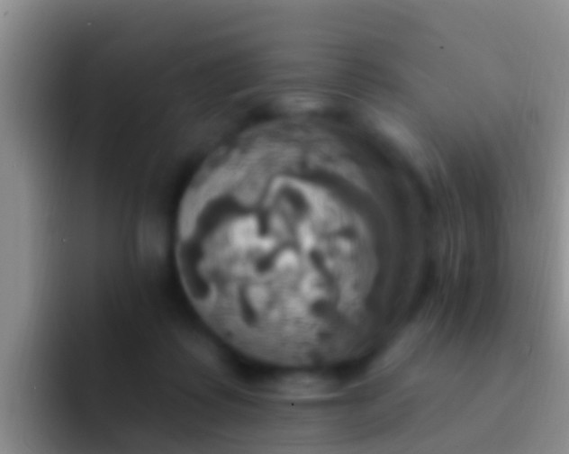 X0000092110315200709262203