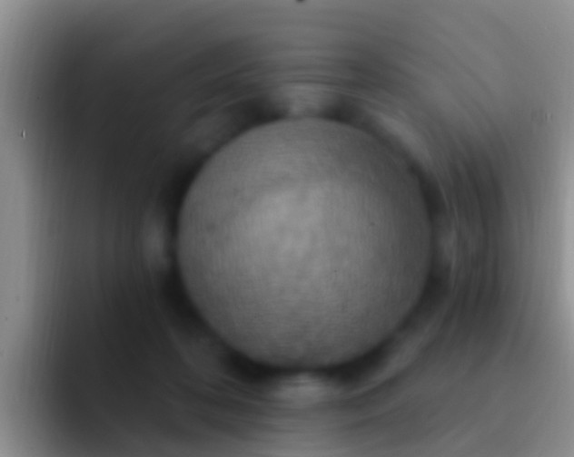 X0000092110316200709262203