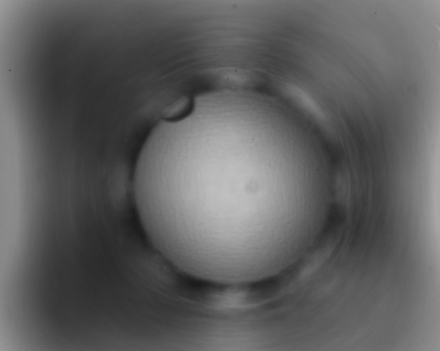 X0000092110318200709262203