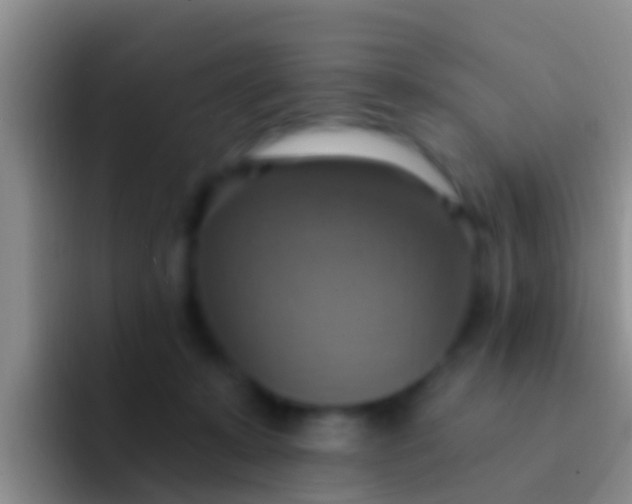 X0000092110319200709262203