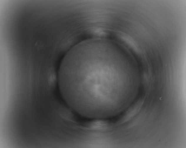 X0000092110320200709262203