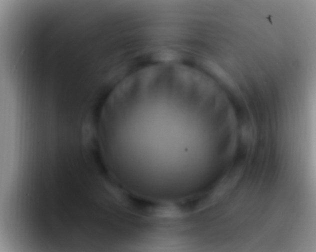 X0000092110322200709262203