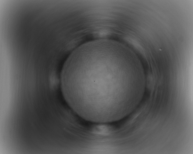 X0000092110324200709262203