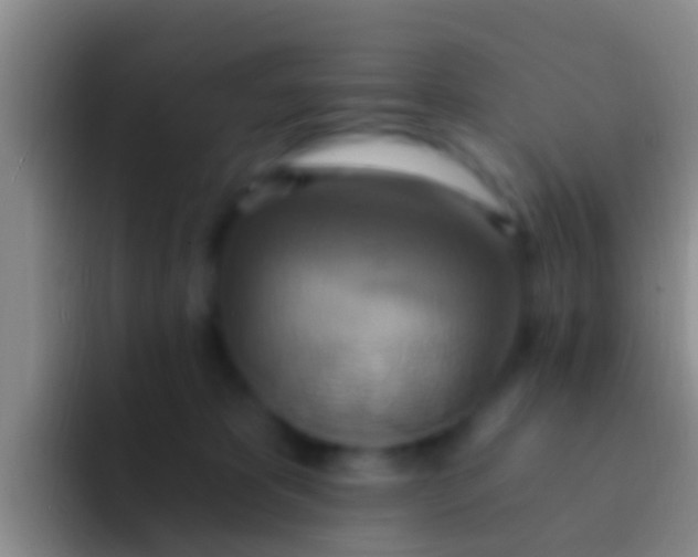 X0000092110325200709262203