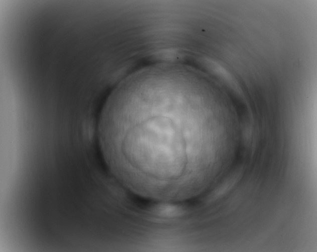 X0000092110326200709262203