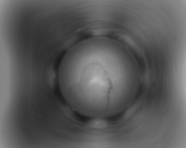 X0000092110327200709262203