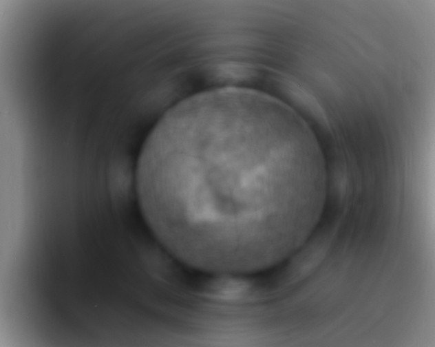 X0000092110328200709262203