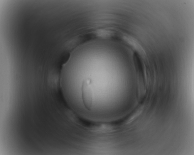 X0000092110329200709262203