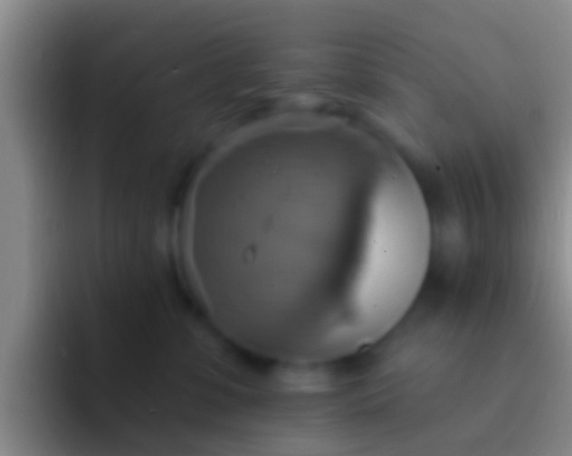 X0000092110331200709262203